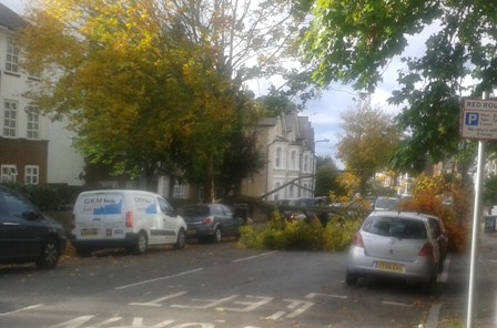 Fallen trees and road blockages have disrupted bin collections across East Sussex